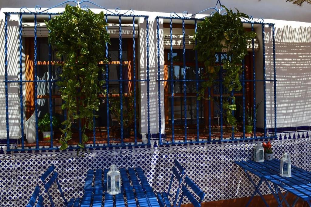 Apartamento En Sevilla Centro Con Vistas A La Plaza Alameda De Hercules - Hasta 6 Personas Exterior foto